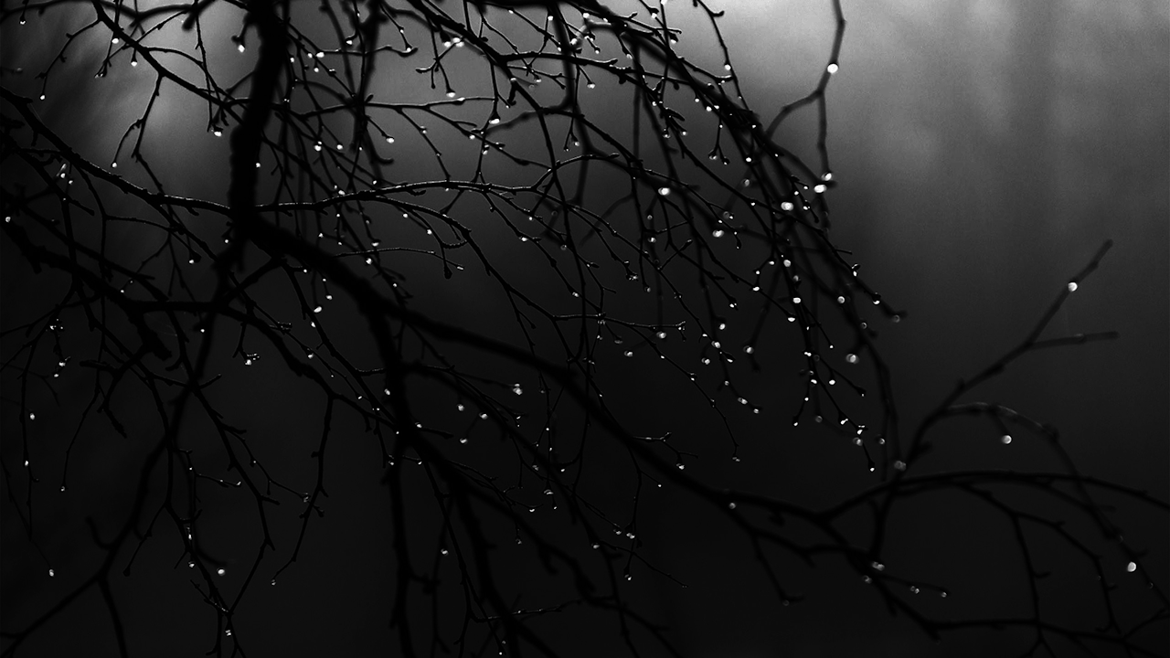 Circleead Skincare Website